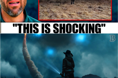 ⚠️ “This Shouldn’t Exist”: The Dragon Mystery at Skinwalker Ranch Is Solved… And It’s Worse Than Anyone Imagined 🛑👁️