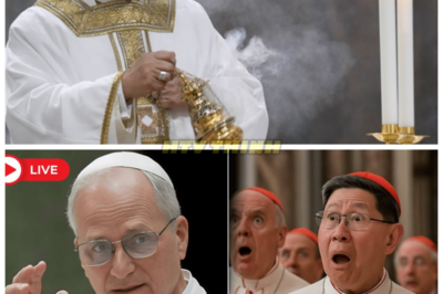 🔥POPE LEO XIV SHOCKS THE WORLD BY DECLARING SEVERAL CATHOLIC SACRAMENTS INVALID—A DEVASTATING BLOW TO FAITH ITSELF! In an unprecedented move, Pope Leo XIV has dropped a bombshell that will leave the Catholic world in utter chaos. Several sacraments—once considered sacred and unbreakable—have just been declared invalid by the Pope himself. What does this mean for millions of believers worldwide? The Church is in turmoil as faithful followers are left questioning everything they’ve been taught. Can faith survive such a devastating revelation? 👇