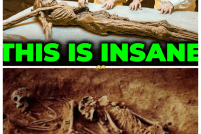 “Scientists Shocked! Oldest Human DNA Finally Sequenced And What It Reveals is…