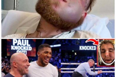 🐘 “‘He Needs to Step Back!’: Joe Rogan and Anthony Joshua MOCK Jake Paul After KO Loss! 😤🥊” “Following Jake Paul’s brutal defeat in the ring, Joe Rogan and Anthony Joshua didn’t shy away from mocking the influencer-turned-boxer, suggesting he might need to rethink his approach to the sport!” Their candid remarks have sparked reactions from fans and fellow fighters alike. What specific comments did they make, and how does this reflect on Paul’s boxing journey? Let’s take a closer look! 👇