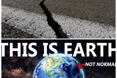 🐘 “The Earth in Action: Top Five Geologic Events of 2025 You Have to See! 🌋 Get ready for an eye-opening experience as we reveal the top five geologic events of 2025, all caught on camera! “Witnessing nature’s raw energy is both humbling and exhilarating!” These incredible clips showcase the dynamic processes that shape our planet. Join us for an unforgettable journey through the earth’s most dramatic moments! 👇