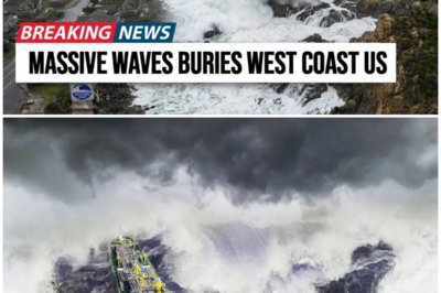 😱 Unprecedented Waves Hit the West Coast: Are We Prepared for the Next Disaster? 😱 – HTT