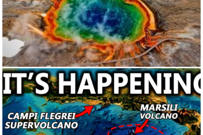 🐘 The Mediterranean’s Hidden Terror: Supervolcano Activity Surges! 🔥 “What lies beneath the azure waters?” A supervolcano beneath the Mediterranean is becoming more active than ever, prompting scientists to warn of potential disaster. Unusual signs from the earth could signal an impending eruption. Who will survive when nature’s fury erupts? 👇