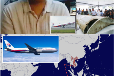MH370 Search Relaunched After 11 Years: Former Pilot Reveals Why Authorities Finally Returned to the Ocean