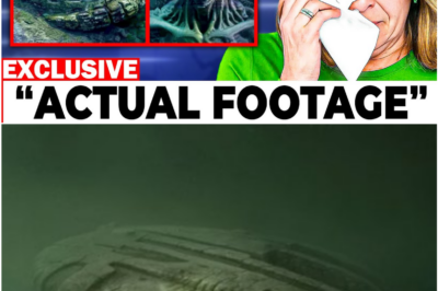 The Baltic Sea Anomaly Breakthrough: Researchers Reveal a Hidden Structure That Defies Every Known Explanation