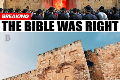 💥 Moments Ago: Jerusalem’s Ancient Gate Moved for the First Time in Centuries — The Ominous Sign That Has Scholars Terrified 😨🕊️