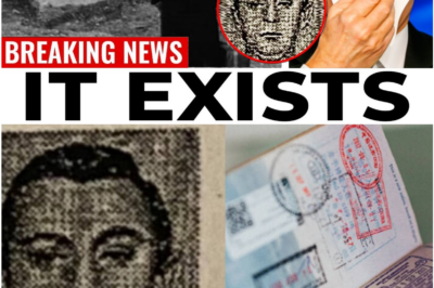 The Man Who Arrived From a Country That Didn’t Exist: The Haneda Airport Mystery That Still Terrifies Investigators