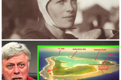 Amelia Earhart Investigator Ric Gillespie Finally Confirms the Location of Her Emergency Landing