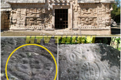 Shocking Archaeological Conspiracy? 🤯 Could the Maya Civilization Have Secretly Established Advanced Settlements in Georgia Over 1,000 Years Ago