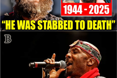 The Truth Tim Armstrong Carried For Years: What He Revealed After Jimmy Cliff’s Final Hour