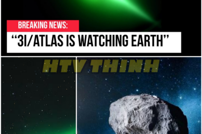 A Stranger from Deep Space Passed Earth—and Left Science Asking Dangerous Questions