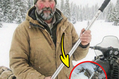 Seventeen Years Buried: How Wyoming’s Mountains Secretly Revealed the Ranger Who Vanished Without a Trace