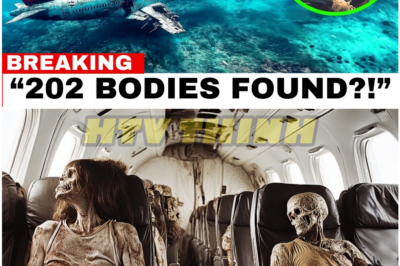 Lost at Sea or Lost in Silence? The Unanswered Fate of MH370’s Passengers