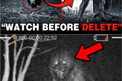 “Hair-Raising Footage of the Michigan Dogman Emerges — What Investigators Saw in These Non-AI Videos Left Them Shaking 😨🐺⚠️”