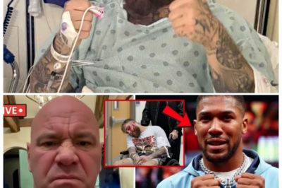 🐘 “Joe Rogan’s SHOCKING Outburst: ‘Anthony Joshua, You’re to Blame for Jake Paul’s Brain Damage!’ ⚡️🥊” “In a shocking display of emotion, Joe Rogan exploded on Anthony Joshua, claiming that the heavyweight champion is to blame for the brain damage Jake Paul sustained in their recent fight!” Rogan’s strong words have sparked controversy and discussions about the responsibilities of fighters in the ring. What were the highlights of his remarks? Let’s dive into the details! 👇