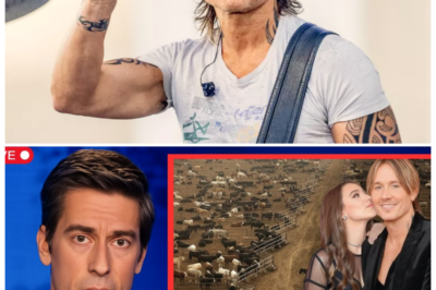 🐘 Unveiling Keith Urban’s Secret Life on His 65-Acre Farm: Prepare to Be Amazed! 🌼 “Amidst the fame, a star finds his true self.” Keith Urban’s secret life on his expansive 65-acre farm is a remarkable story waiting to be told. As he balances his successful music career with the joys of rural living, Urban has created a unique lifestyle that many would envy. From cultivating crops to spending quality time with family, this hidden side of Keith reveals a deeper connection to nature and self. What other surprises lie in store for fans as they discover this side of the country music icon? 👇