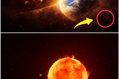 TRAPPIST-1e: The First Real Earth Beyond the Sun — What James Webb Just Revealed Changes Everything