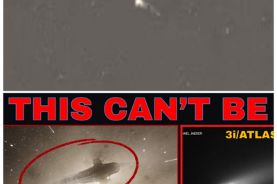 🐘 “NASA’s Latest Alert: 3I/ATLAS Comet Active—What Are They Not Telling Us? 👀” In a stunning twist, NASA announces that the 3I/ATLAS comet is still active, leaving many to wonder what secrets are lurking in the depths of space. “There’s more to this story than meets the eye,” insiders hint, as they reveal the ongoing research and speculation surrounding this mysterious comet. As the agency works tirelessly to decode its behavior, the implications for Earth could be monumental. Join us as we uncover the hidden truths behind this celestial phenomenon! 👇