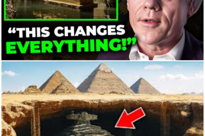 🦊 BREAKING: Archaeologists Break a 2,000-Year Seal in Egypt—and What Was Hidden Inside Was NEVER Meant for Human Eyes 🚨