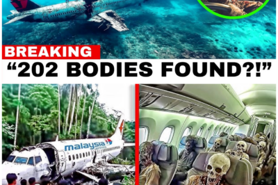 🦊 THEY VANISHED—BUT THE STORY DIDN’T END THERE: THE UNSETTLING QUESTIONS STILL HAUNTING MH370 🕯️