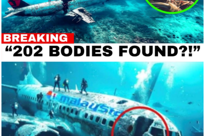 🦊 LOST AT 38,000 FEET: THE SILENCED FATE OF MH370 PASSENGERS NO ONE WANTS TO DISCUSS ⚠️