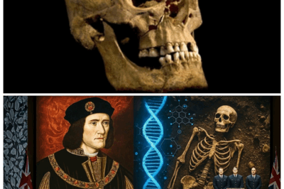 “Royal Bones, Forbidden Bloodline 😱—The Richard III DNA Shock That Palace Insiders Tried to Bury Beneath Centuries of Lies!” In a twist that has genealogists trembling and royal loyalists choking on their tea, explosive new DNA revelations from Richard III’s unearthed remains hint at a scandal so deep it could redraw the monarchy itself, revealing betrayals woven through generations and secrets whispered only in the darkest castle halls as experts warn the truth may be far more sinister than anyone dared imagine 👇
