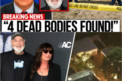 Inside Rob Reiner’s Mansion: The FBI Discovery That Quietly Shocked Hollywood