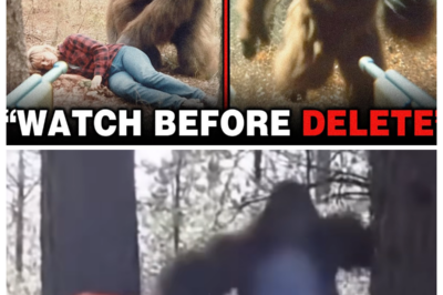 BIGFOOT CAUGHT on Trail Cam — What This Mechanic Filmed in Northern California SHOCKED the World