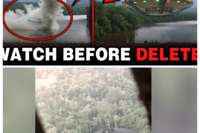 It Landed Straight Into the Amazon Forest — A UFO Sight Caught on Camera That Left Everyone Shocked!