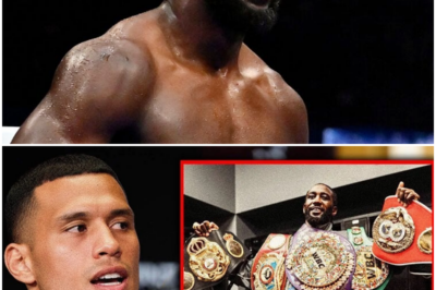 🐘 “David Benavidez Breaks Down Terence Crawford’s Unstoppable Nature! 💪” “In a recent interview, David Benavidez revealed the truth behind Terence Crawford’s status as an unstoppable force in boxing!” With a focus on Crawford’s skills, resilience, and tactical intelligence, Benavidez highlighted the aspects that contribute to Crawford’s success. What did he emphasize as the key factors in Crawford’s fighting style, and how does this influence the competitive landscape of boxing? Let’s explore Benavidez’s insights on this legendary fighter! 👇