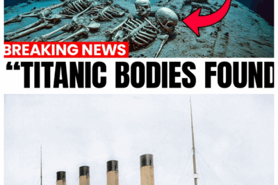 Things You Didn’t Know About The Titanic Disaster That Will Blow Your Mind