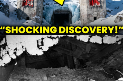 Archaeologists Break Into Mysterious WWII Bunker… But the Horrifying Secrets Inside Left the Entire Team Shaking 🤯⚠️🕰️