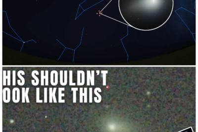 🐘 Asteroid Breakthrough: New Images of 3I/ATLAS Show Unprecedented Directional Structure! 🌠 In a stunning development, the latest images of 3I/ATLAS have confirmed its unique directional structure, sending ripples of excitement through the astronomical community! “Is this the key to unlocking the mysteries of asteroid behavior?” they ask, as scientists prepare for deeper investigations. With each new discovery, the potential for groundbreaking insights into our solar system expands! 👇