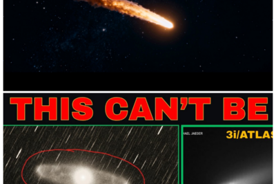 🐘 NASA’s Bold Move: 3I/ATLAS Data Shift Raises Eyebrows and Questions! 🔭 Today, NASA has made headlines with a bold update regarding the 3I/ATLAS data, sparking a whirlwind of speculation and excitement among scientists and enthusiasts alike. “This shift challenges everything we thought we knew,” an astrophysicist states, as the implications of the new findings begin to unfold. Get ready for a deep dive into the unknown, where every revelation could lead to new discoveries about our universe!👇