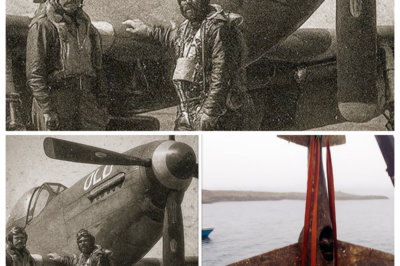 Pilots Vanished During a Secret Operation in WW2 — 50 Years Later, Navy Pulled This From the Ocean…
