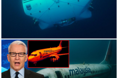 💥 “MH370 Found After 11 Years — Deep-Sea Submersible Discovers Wreckage, and What They Uncovered Will Terrify You!” The wreckage of MH370, lost for over a decade, has been found by a deep-sea submersible, and the findings are more disturbing than anyone could have expected. From unexplained fragments to hidden pieces of evidence, what experts discovered inside the wreck raises unsettling questions about what truly happened that fateful night. The revelations will forever change our understanding of MH370’s disappearance 👇