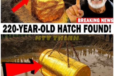 🦊 “RICK LAGINA OPENS A 220-YEAR-OLD HATCH: The Moment That Sends Shockwaves Through Oak Island — A Discovery Too Wild to Ignore 🗝️🔥”