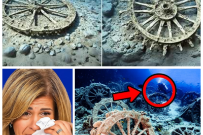 Divers Just Found a 1.5-Mile Chariot Graveyard in the Red Sea – And It Changes Everything! 😱 In an astonishing discovery, divers have uncovered a 1.5-mile-long chariot graveyard beneath the Red Sea, and the implications are more profound than anyone could have imagined. What does this find reveal about ancient civilizations, and how could it reshape our understanding of history? The discovery raises new questions about the lost past, and the truth behind it might change everything we thought we knew about ancient cultures and their advanced technology. 👇