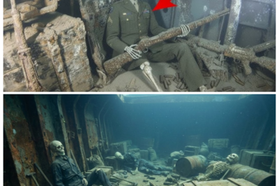 “HOT Discovery Ignites Fury in the Deep 💥 A Sunken WWII U.S. Weapons Ship Resurfaces in the Public Eye — Its Fully Intact Floating Arsenal Raising Questions of Buried Secrets, Military Cover-Ups, and a Cargo That Should Never Have Seen Daylight Again” — Insiders whisper the wreck’s untouched weapons cache has sent shockwaves through old defense circles, sparking panic that this metallic tomb might expose hidden agendas, forbidden experiments, and rival officers who would rather this steel grave stayed forgotten forever 👇