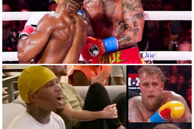 🐘 Gervonta Davis on Jake Paul’s BROKEN JAW: A Reaction to the Joshua Knockout! 🏆 “Sometimes, the ring tells a harsh story!” Following the brutal knockout of Jake Paul by Anthony Joshua, Gervonta Davis has reacted to the news of Paul’s broken jaw and teeth. What does Davis think about the fight and its consequences for both fighters? Join us as we analyze his insights and the reactions from the boxing world! 👇