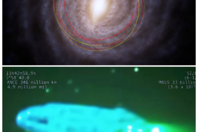 🐘 “Cosmic Breakthrough: James Webb Telescope Captures Jaw-Dropping Images of 3I/ATLAS!” 🌠 With its powerful lenses, the James Webb Telescope has unveiled new details of 3I/ATLAS, igniting excitement and curiosity about what lies beyond our planet. “As we peer into the cosmos, we discover that the universe is more alive than we ever imagined!” 👇