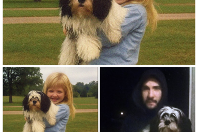 Girl Vanished Playing With Her Dog — 6 Months Later, a Stranger Shows Up With Her Dog...