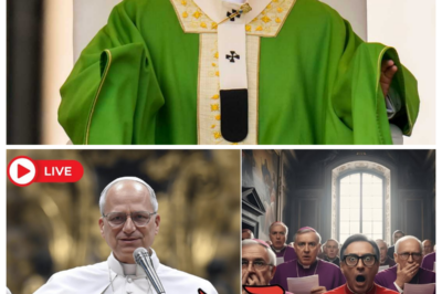 🙏 What Pope Leo XIV Did At The End Of His Audience No One Will Ever Forget