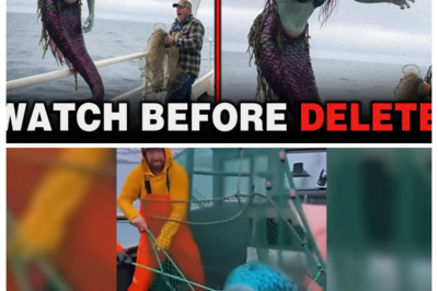 Fishermen Capture “Mythical” Ocean Creatures on Camera — Footage So Unbelievable It’s Sending Shockwaves Online