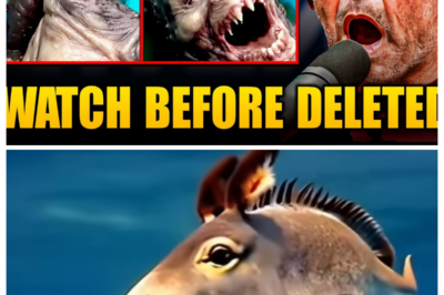 No One Believed Him — Fisherman’s Bizarre Catch Stuns the World After Footage Goes Viral