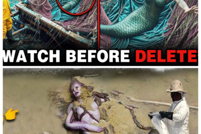 Scientists Shock the World — New Footage Shows Bizarre River Creatures Unlike Anything Seen Before