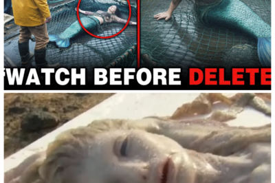“Real” Mermaid Sightings Stir Deep-Sea Mystery — Fishermen Capture Footage They Can’t Explain