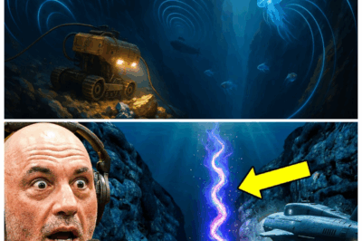 “Abyssal Shockwave 🌊⚡—Scientists Detect a Mariana Trench ANOMALY So Unnatural It Has World Leaders Scrambling Behind Closed Doors!” Deep below the crushing darkness, instruments caught a pulse—an impossible surge echoing like a heartbeat from the planet’s oldest scars—and now shaken insiders whisper that whatever woke in the trench could redraw borders, ignite rivalries, and expose a secret the superpowers have spent decades trying to keep buried 👇