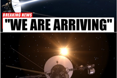 Voyager 1’s Last Whisper Near 3I/ATLAS Sends Shockwaves Through NASA and Rewrites Humanity’s Place in Deep Space