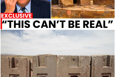 3D Scans Expose the Terrifying Truth Behind Puma Punku’s H-Blocks